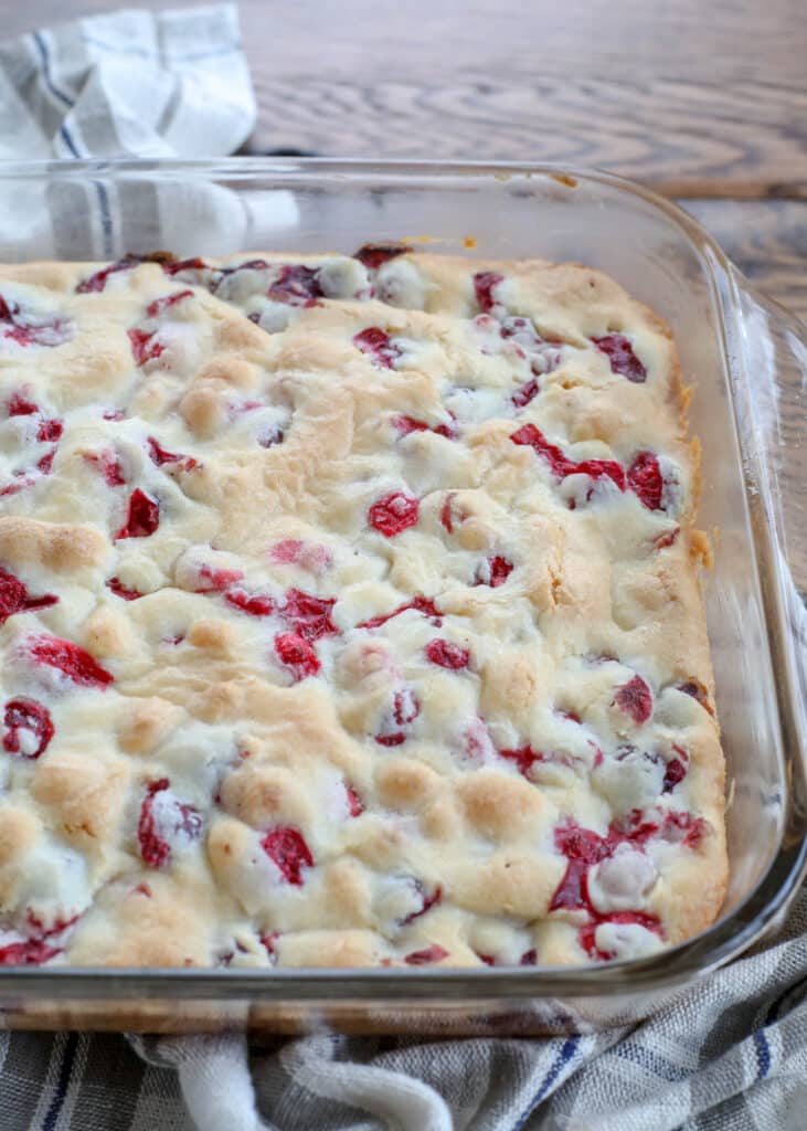 Cranberry Cake for the holidays