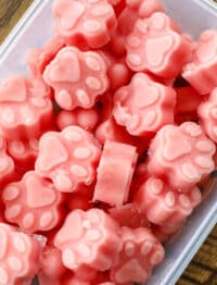 Frozen Watermelon Popsicles for Dogs